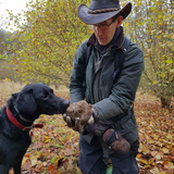 Large English Heritage Crisp Selection Box (10 x 150g Mixed Packs)