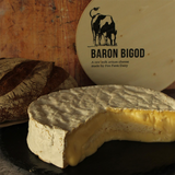 A large wheel of gooey Baron Bigod cheese with a slice taken out of the front, and a loaf of bread and cheese box in the background.